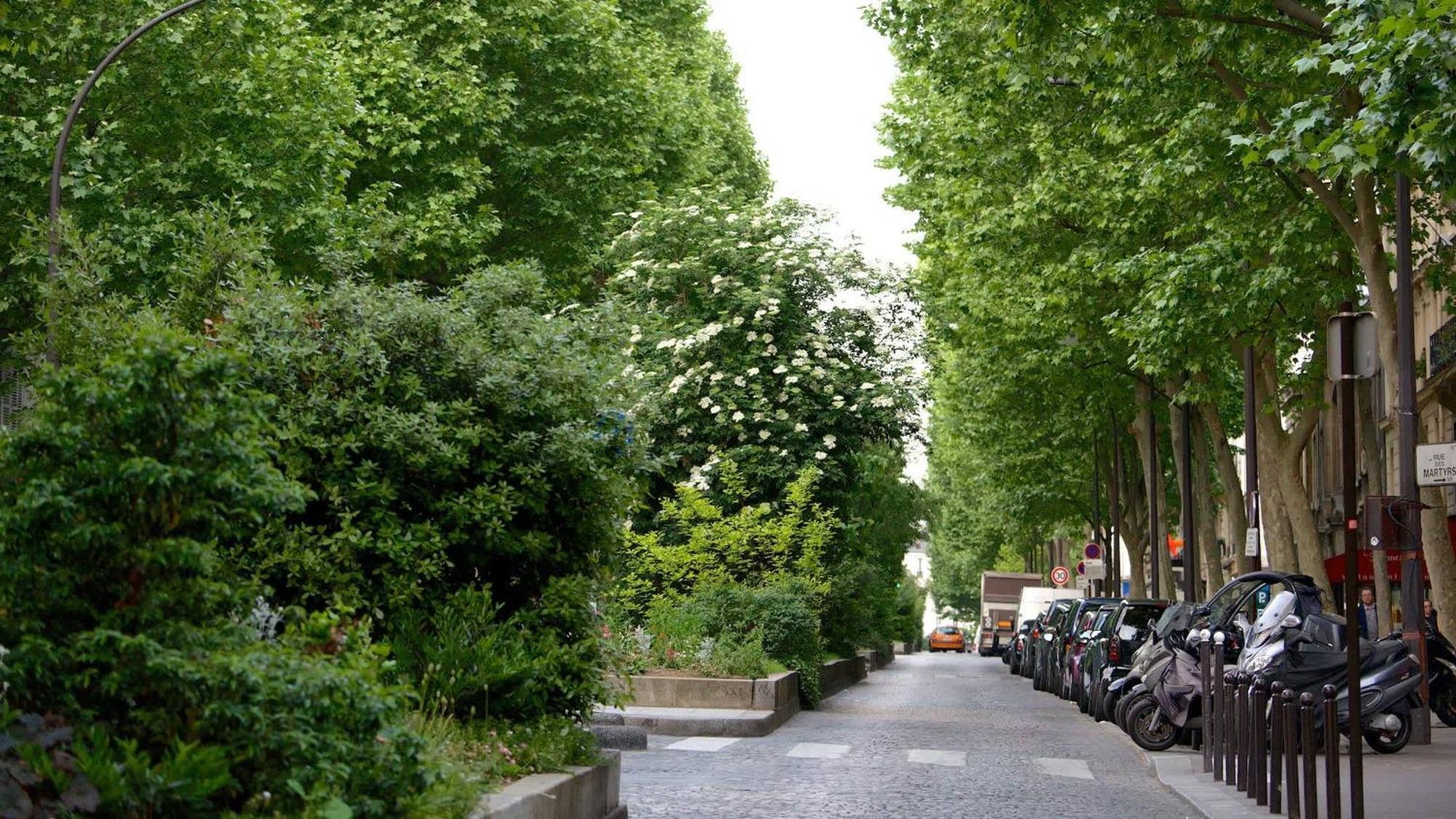 Welcoming Studio Near Opera Paris Exteriör bild